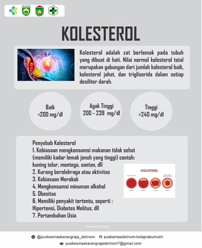 UPTD Puskesmas Karang Raja (Delinom)